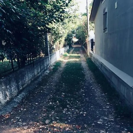 House *